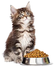 Ningbo Tom Pet Products Co., Ltd