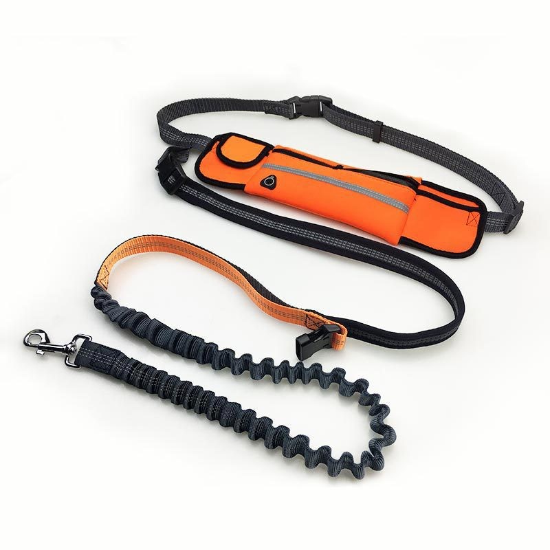 Waist Belt Pet Leash TM3213