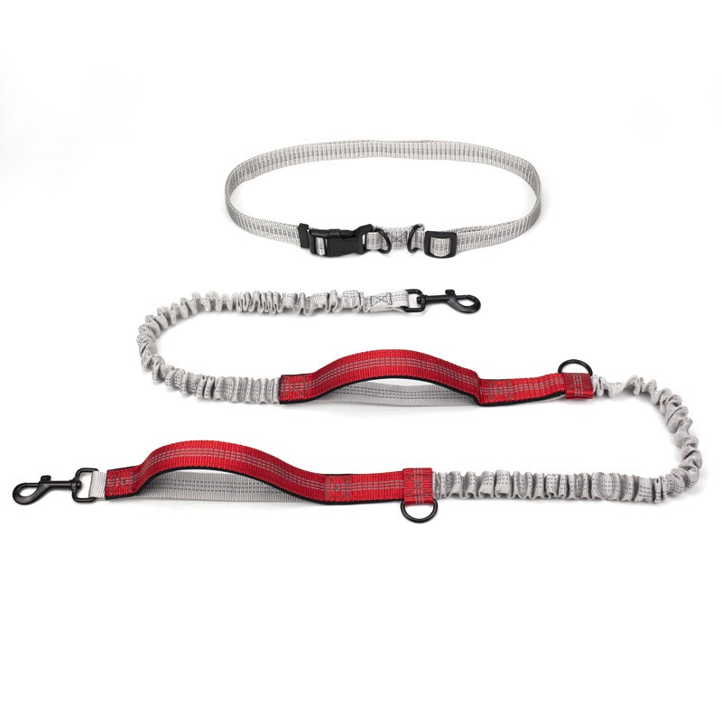 Waist Belt Pet Leash TM3803