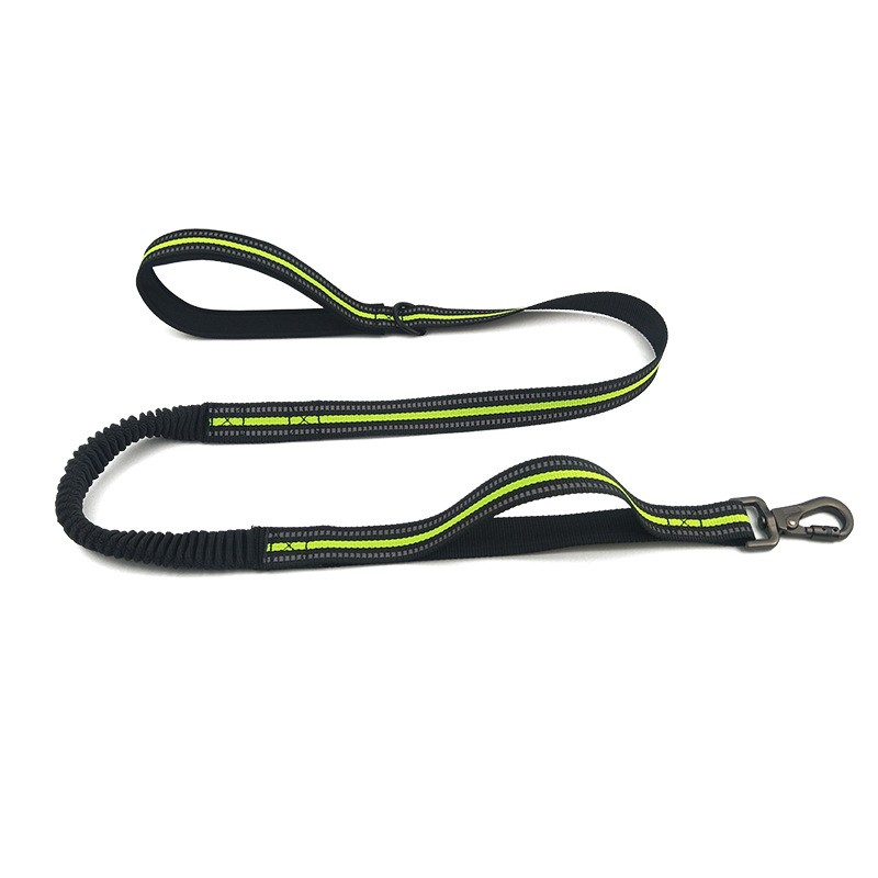 Stretchable Pet Leash TM3207
