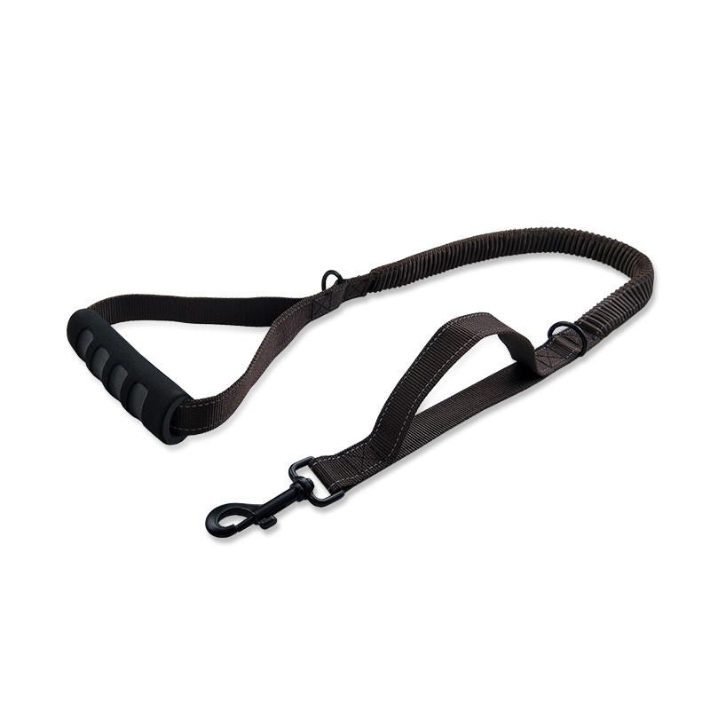 Stretchable Pet Leash TM3202