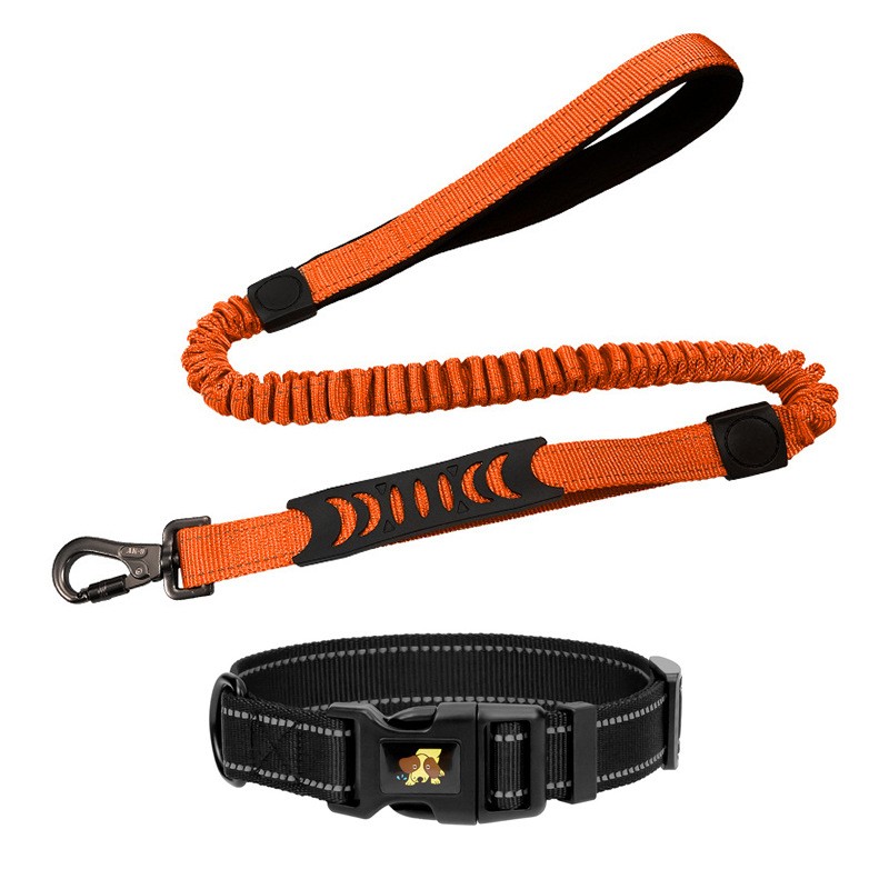 Pet Leash & Collar Set TM3805