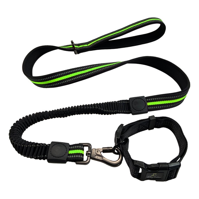  Pet Leash & Collar Set TM3804