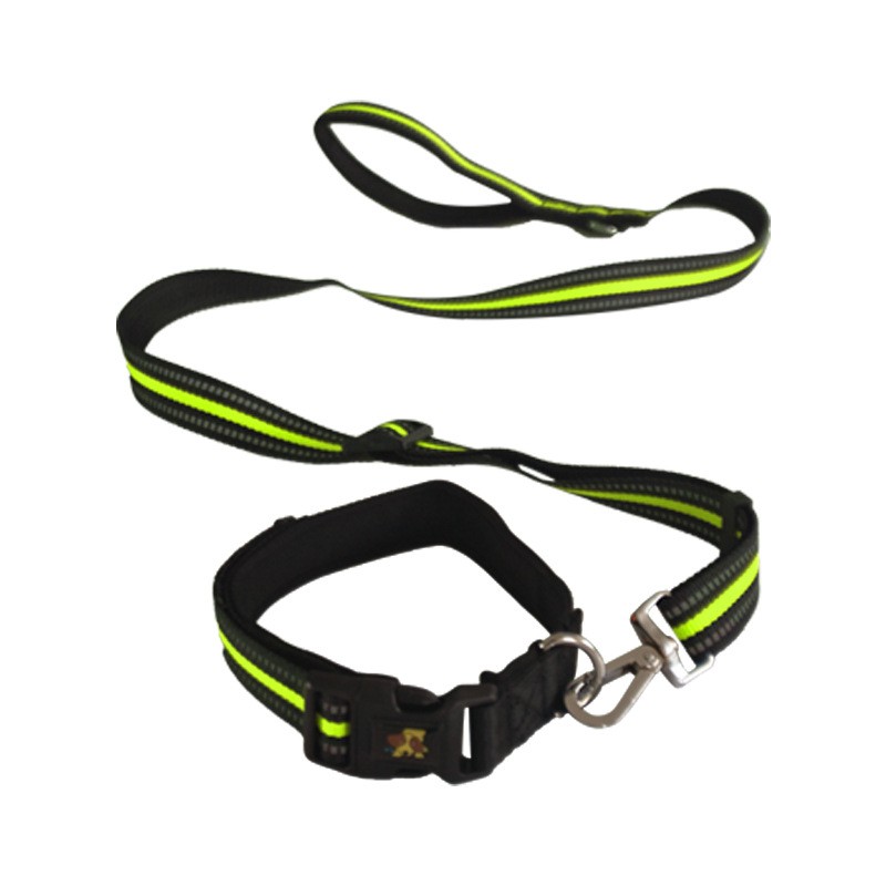 Pet Leash & Collar Set TM3806