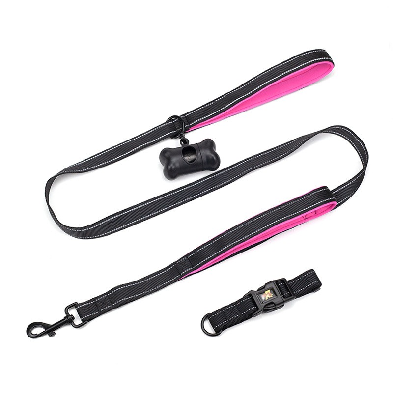 Pet Leash & Collar Set TM3807