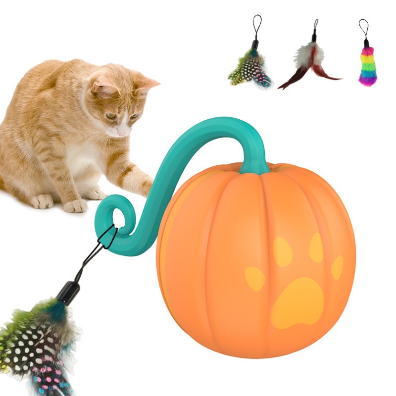 Interactive Cat Toys TM6001